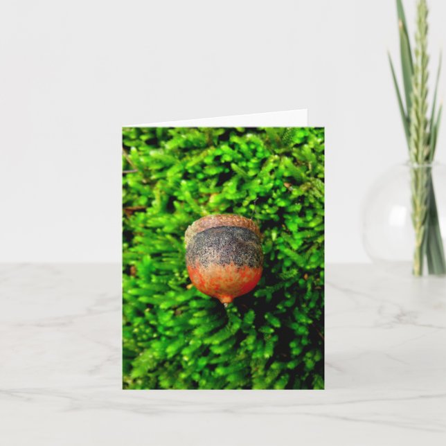 Acorn & Moss Notecard (Front)