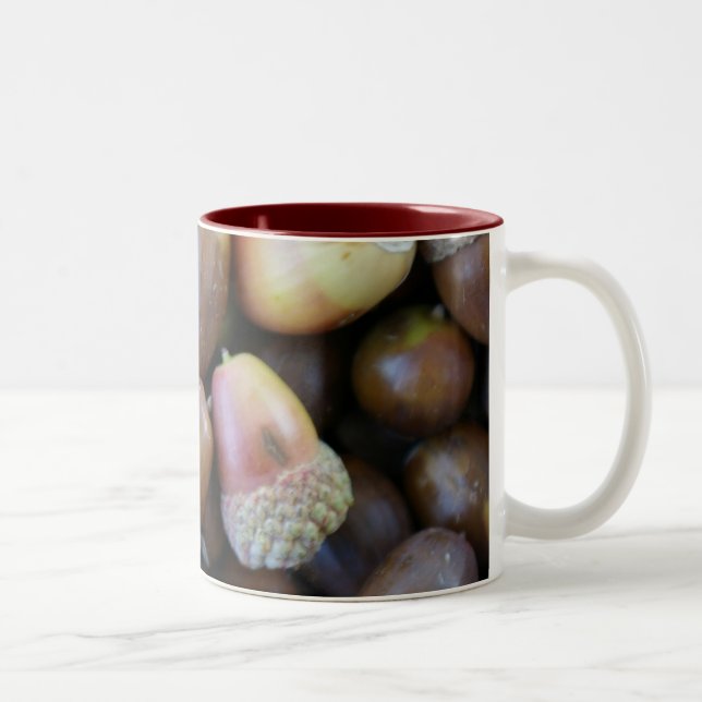 Acorn Mug (Right)