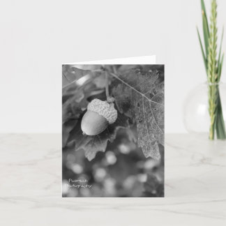 Acorn Note Card