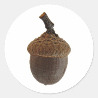 Acorn Nuts Snack Food Kitchen Recipes Classic Round Sticker