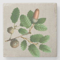 Acorn Oak Leaves