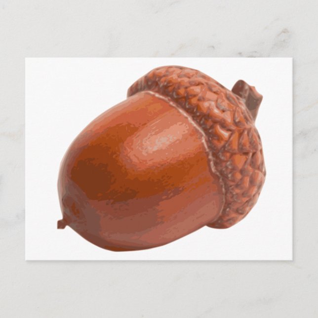 acorn.png postcard (Front)