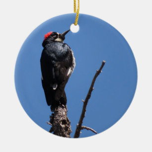 Acorn Woodpecker at Chiricahua National Monument Ceramic Tree Decoration