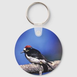 Acorn Woodpecker Key Ring