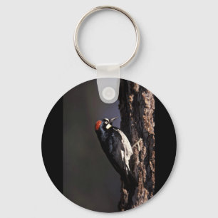 Acorn Woodpecker Key Ring