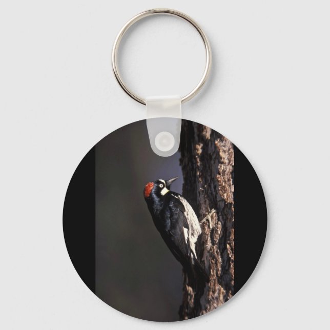 Acorn Woodpecker Key Ring (Front)