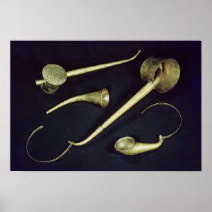 Acoustic instruments cornets poster