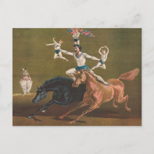 Acrobats On Horseback. Postcard