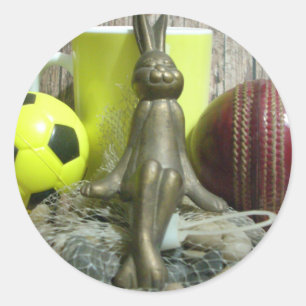 Across the Pitch & Crease: Football Cricket Blend Classic Round Sticker