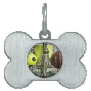 Across the Pitch & Crease: Football Cricket Blend Pet ID Tag