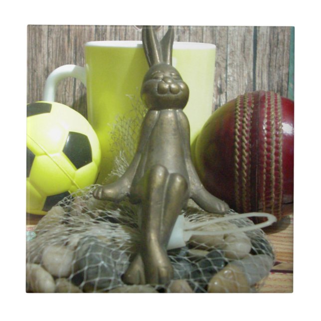 Across the Pitch & Crease: Football Cricket Blend Tile (Front)