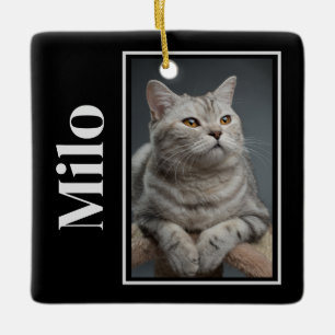 Across The Rainbow Bridge Silver Pet Cat Memorial Ceramic Ornament