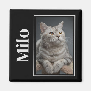 Across The Rainbow Bridge Silver Pet Cat Memorial Magnet
