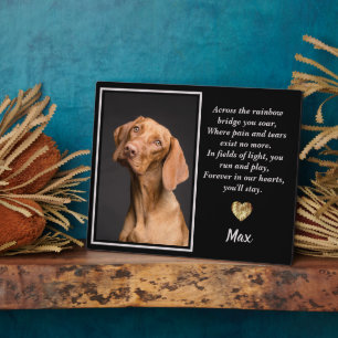 Across The Rainbow Bridge Vizsla Dog Plaque
