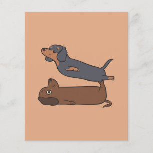 Acroyoga Dachshund Dachshund Lover Gift Flyer