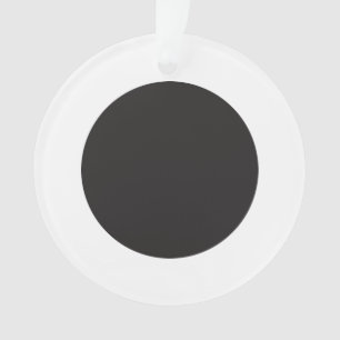Acrylic Circle Ornament