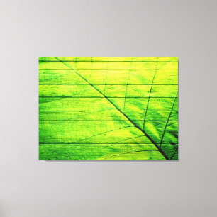 Acrylic Green Leaf on Wooden Canvas Print