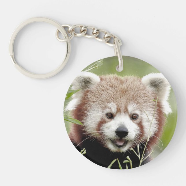 Acrylic keychain. Photo red panda, panda roux. Key Ring (Front)