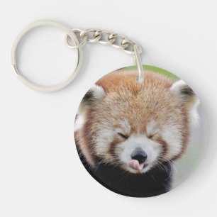Acrylic keychain. Photo red panda, panda roux. Key Ring