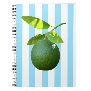  Acrylic Ornament  Notebook