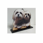 Acrylic Photo Sculpture Cut Out Stand up Display<br><div class="desc">Design your own by uploading your favourite digital images or photo's to display in your home or office! Zazzle custom photo sculptures enable you to turn your favourite photo or portrait into a special keepsake, turn your photograph or digital photo into a 3-D photo sculpture, sometimes referred to as a...</div>