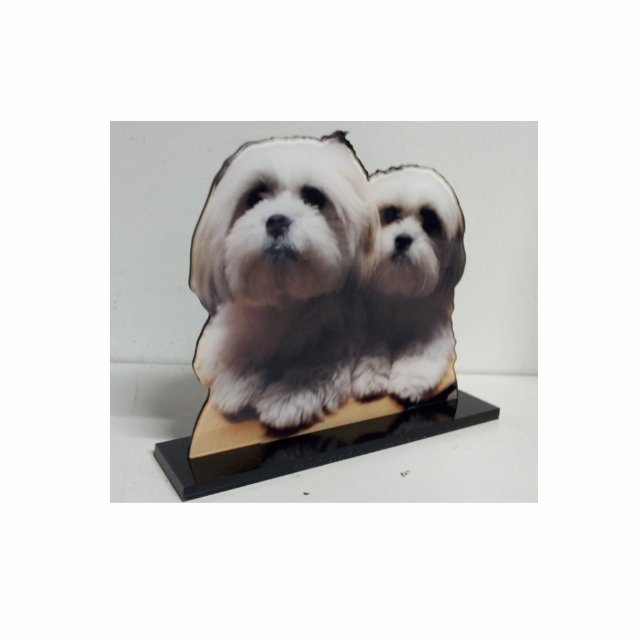 Acrylic Photo Sculpture Cut Out Stand up Display (Front)