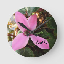 Acrylic round clock (medium sized)