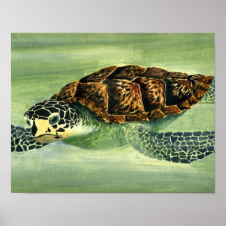acrylic seaturtle poster
