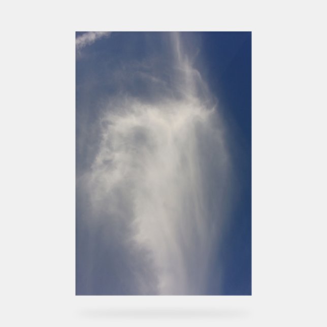 Acrylic Sign COOL ECO STYLE DESIGN (Front)