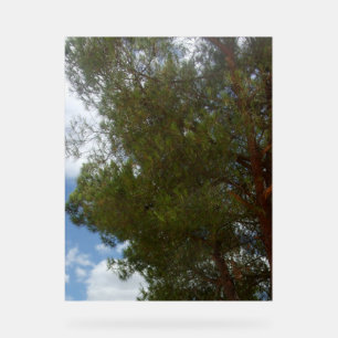 Acrylic Sign PHOTOGRAPH DESIGN