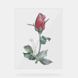 Acrylic Sign ROSE BUD DESIGN STYLE 
