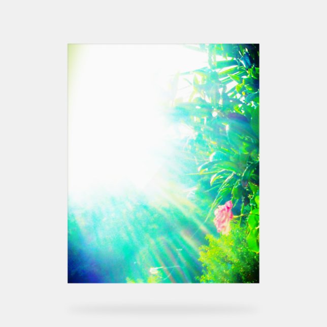 ACRYLIC SIGN ROSE DESIGN STYLE  (Front)