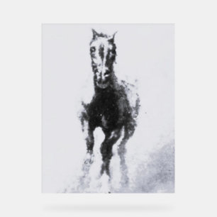 Acrylic Sign wild horse style and design