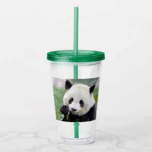 Acrylic tumbler. Photo giant panda , panda geant. Tumbler