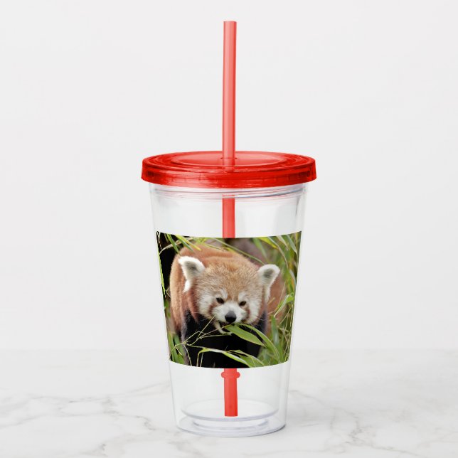 Acrylic tumbler. Photo red panda , panda roux. Tumbler (Front)