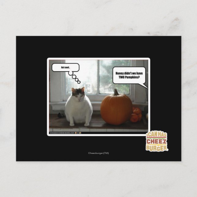 Act cool postcard (Front)