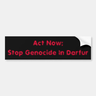 Act Now:Stop Genocide In Darfur Bumper Sticker