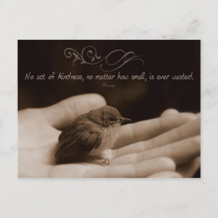 Act of Kindness Inspirational Post Card