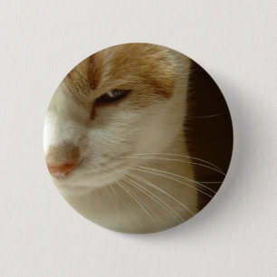 acting cat 6 cm round badge