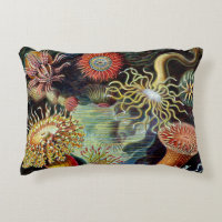 Actiniae by Ernst Haeckel Accent Pillow