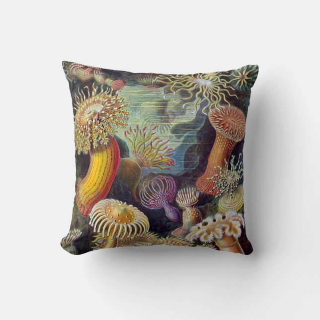 Actiniae by Ernst Haeckel Cushion (Front)