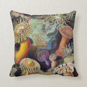 Actiniae by Ernst Haeckel Cushion