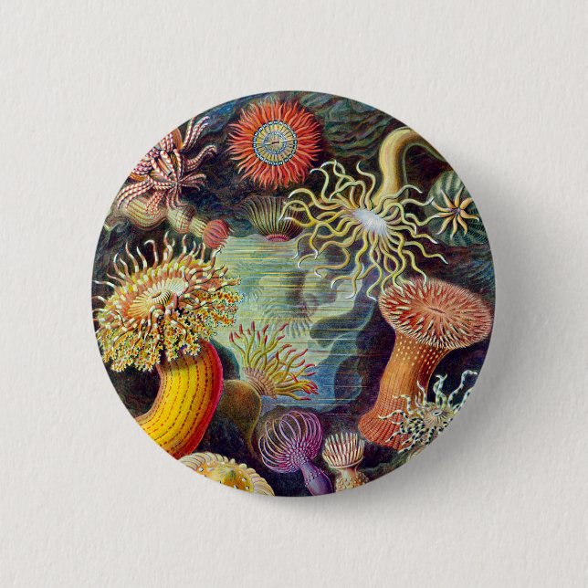 Actiniae illustration painting Germa Ernst Haeckel 6 Cm Round Badge (Front)