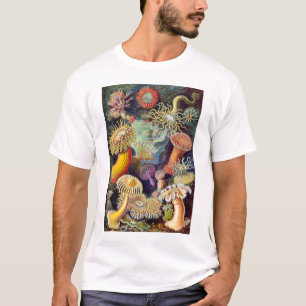 Actiniae illustration painting Germa Ernst Haeckel T-Shirt