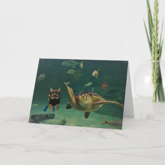 Action Cats! Card (Front)