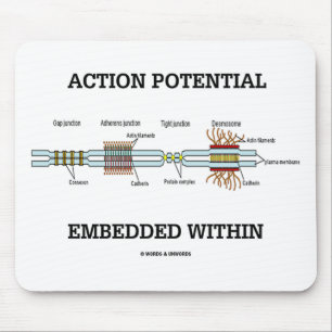 Action Potential Embedded Within (Cell Junctions) Mouse Mat