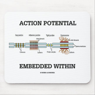 Action Potential Embedded Within (Cell Junctions) Mouse Mat
