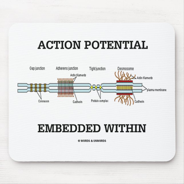 Action Potential Embedded Within (Cell Junctions) Mouse Mat (Front)