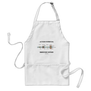 Action Potential Embedded Within (Cell Junctions) Standard Apron
