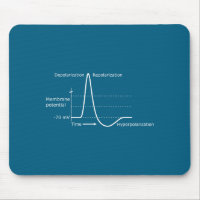 Action Potential Neuroscience Neurotransmitter Neu
